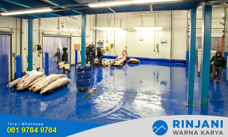 jasa epoxy lantai tempat pengolahan ikan