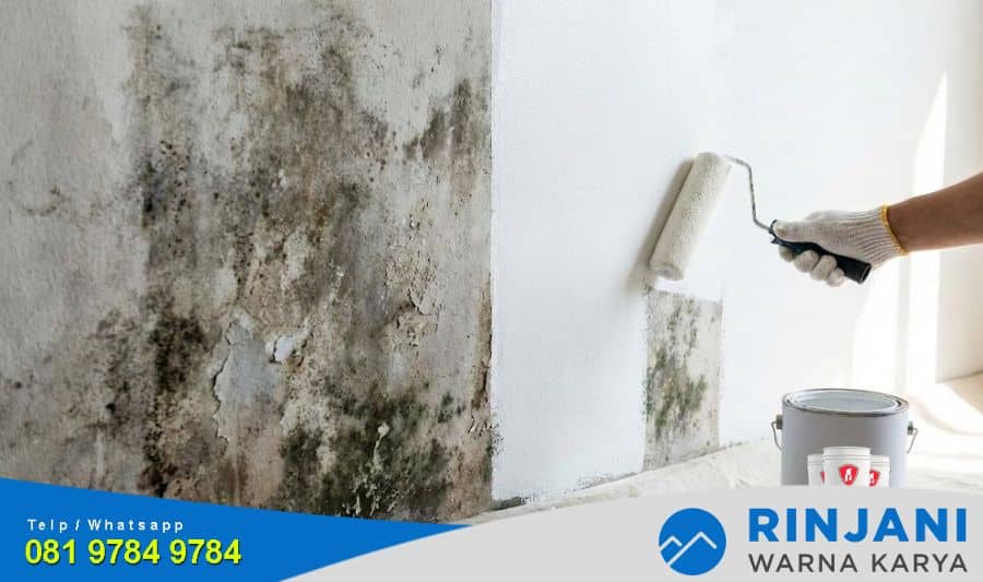 Select 5 Cara Mengatasi Tembok Rembes dan Berjamur Agar Tidak Kembali Lagi Cara Mengatasi Tembok Rembes dan Berjamur
